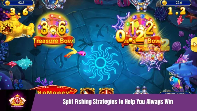 Split Fishing Strategies to Help You Always Win