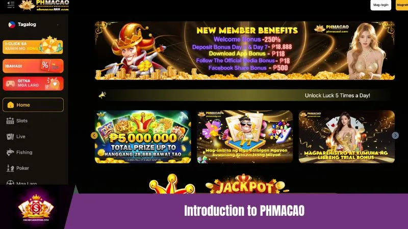 Introduction to PHMACAO
