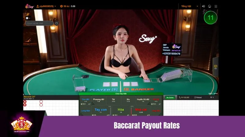 Baccarat Payout Rates