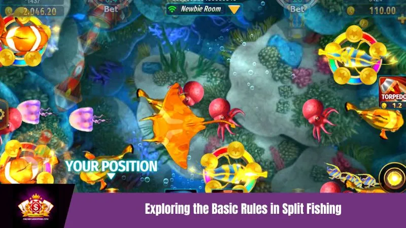 Exploring the Basic Rules in Split Fishing