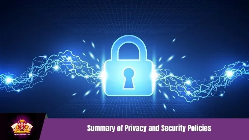Summary of Privacy and Security Policies