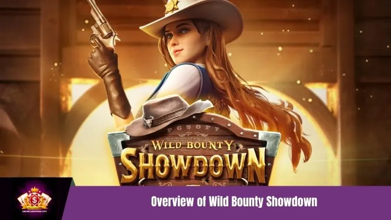 Overview of Wild Bounty Showdown