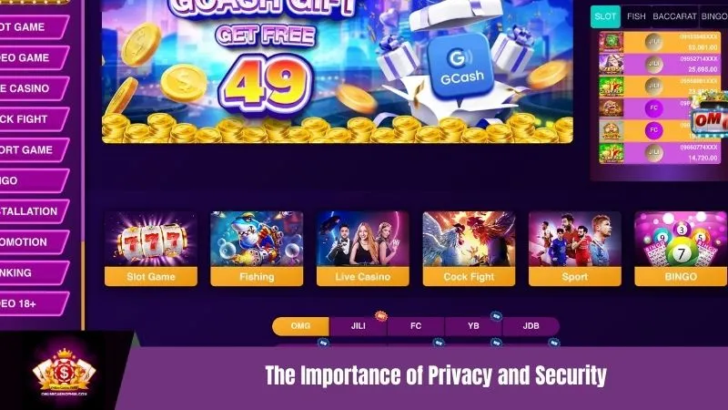The Importance of Privacy and Security