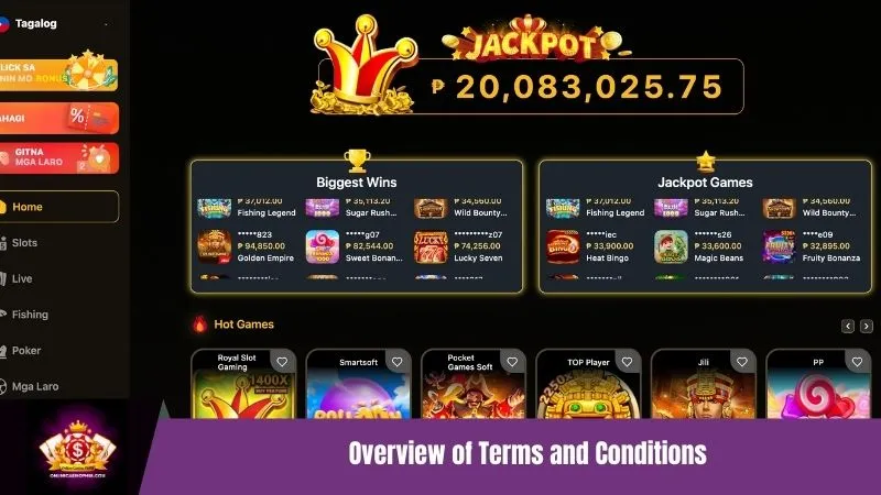 Overview of Terms and Conditions