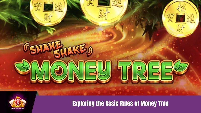Exploring the Basic Rules of Money Tree