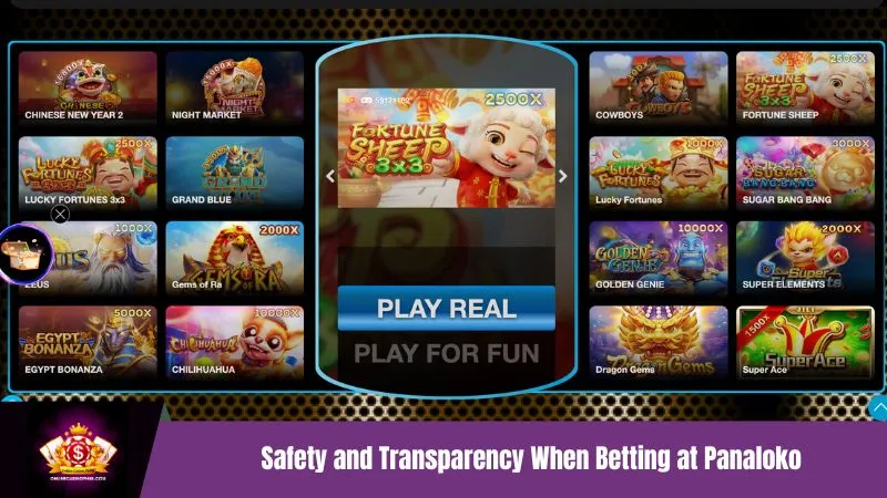 Safety and Transparency When Betting at Panaloko