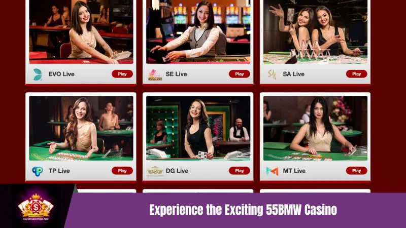 55BMW Luxury Casino Performance & Elite Gaming