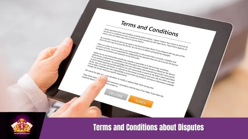 Terms and Conditions about Disputes
